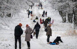 Thumbnail for 6837693