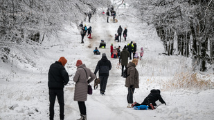 Thumbnail for 6837693