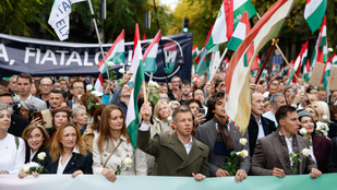 Thumbnail for 6837696