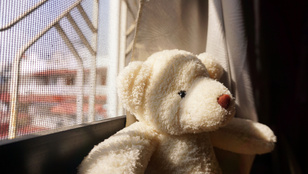 Thumbnail for 6837750