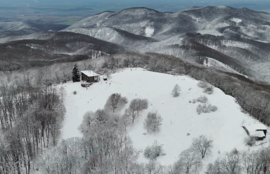 Thumbnail for 6837754