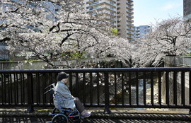 Thumbnail for 6837769