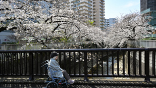 Thumbnail for 6837769