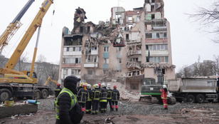 Thumbnail for 6837783