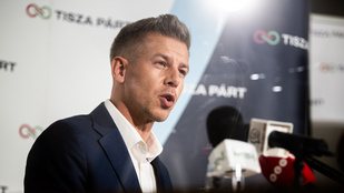 Thumbnail for 6838100