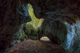 Thumbnail for 6838138