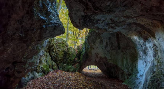 Thumbnail for 6838138