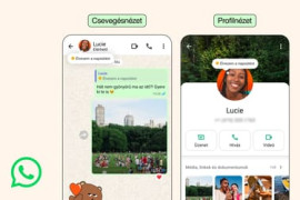 Thumbnail for 6838143