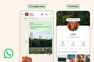 Thumbnail for 6838143