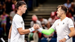 Thumbnail for 6838200