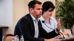 Thumbnail for 6838266