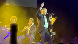 Thumbnail for 6838365