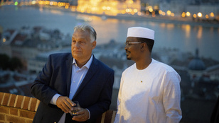 Thumbnail for 6838431