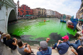 Thumbnail for 6838436