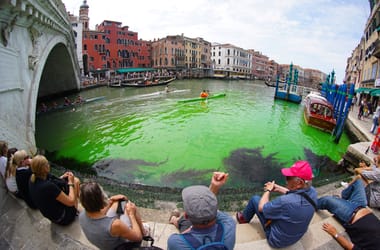 Thumbnail for 6838436