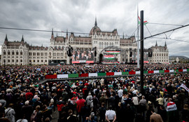 Thumbnail for 6838498