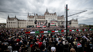 Thumbnail for 6838498