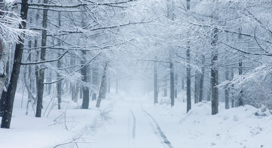 Thumbnail for 6838506