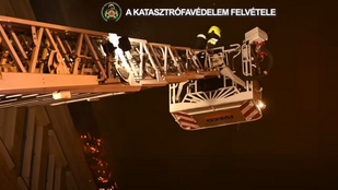 Thumbnail for 6838637