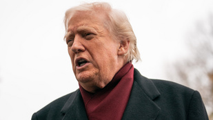 Thumbnail for 6838646