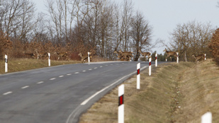 Thumbnail for 6838774