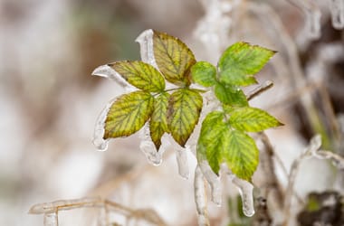 Thumbnail for 6838800