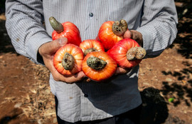 Thumbnail for 6838868