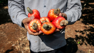 Thumbnail for 6838868