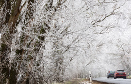 Thumbnail for 6838915