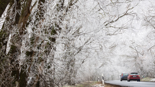 Thumbnail for 6838915