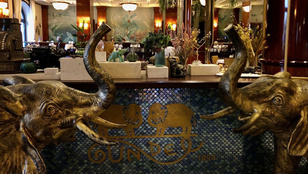 Thumbnail for 6839011