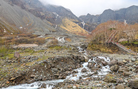 Thumbnail for 6839058