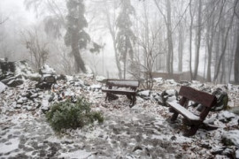 Thumbnail for 6839335