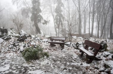 Thumbnail for 6839335