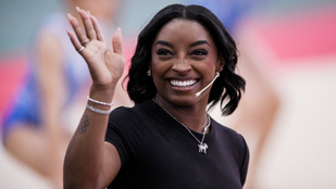 Thumbnail for 6839411