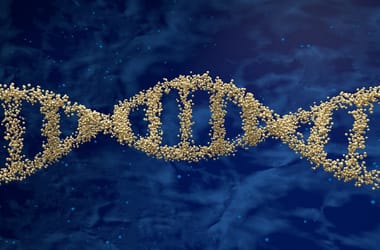 Thumbnail for 6839555