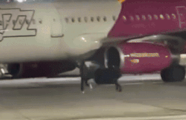 Thumbnail for 6839586