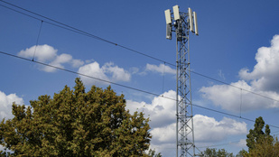 Thumbnail for 6839712