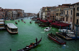 Thumbnail for 6839816