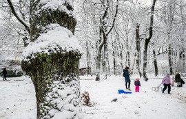 Thumbnail for 6839822