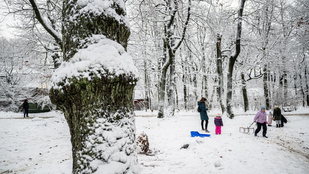 Thumbnail for 6839822