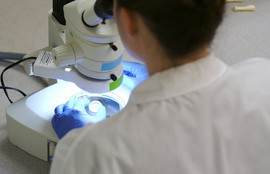 Thumbnail for 6839938