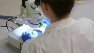 Thumbnail for 6839938