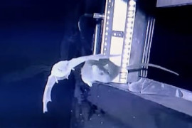 Thumbnail for 6840207