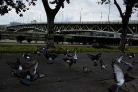 Thumbnail for 6840357