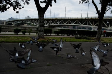 Thumbnail for 6840357