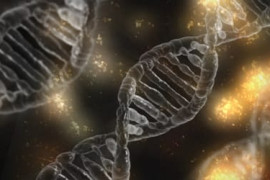 Thumbnail for 6840379