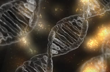 Thumbnail for 6840379