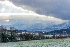 Thumbnail for 6840442