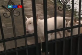 Thumbnail for 6840451